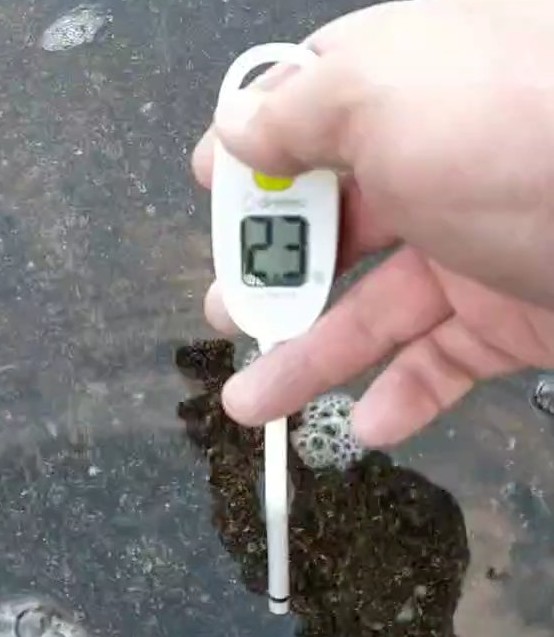 京浜運河の塩分濃度を測定