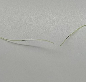 試験後のライン1