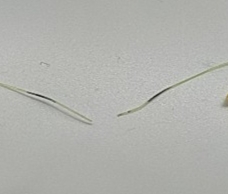 試験後のライン3