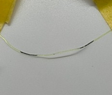 試験後のライン4