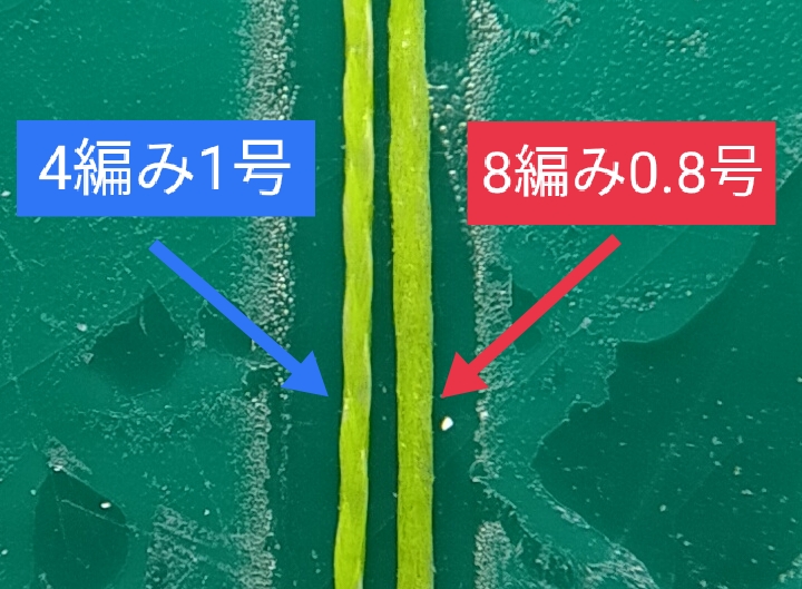 PEラインの拡大画像